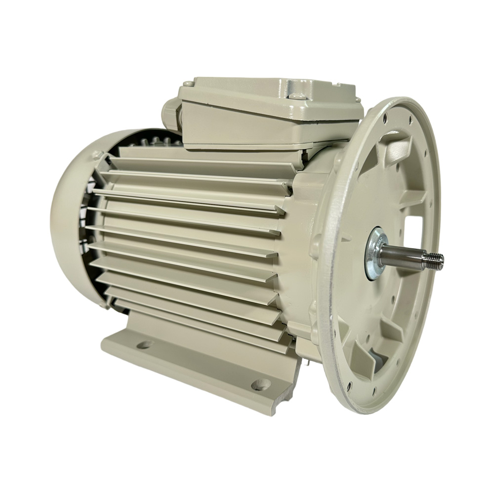 Elektromotor für Milchpumpe FP 66, 230V, 1,1 kW