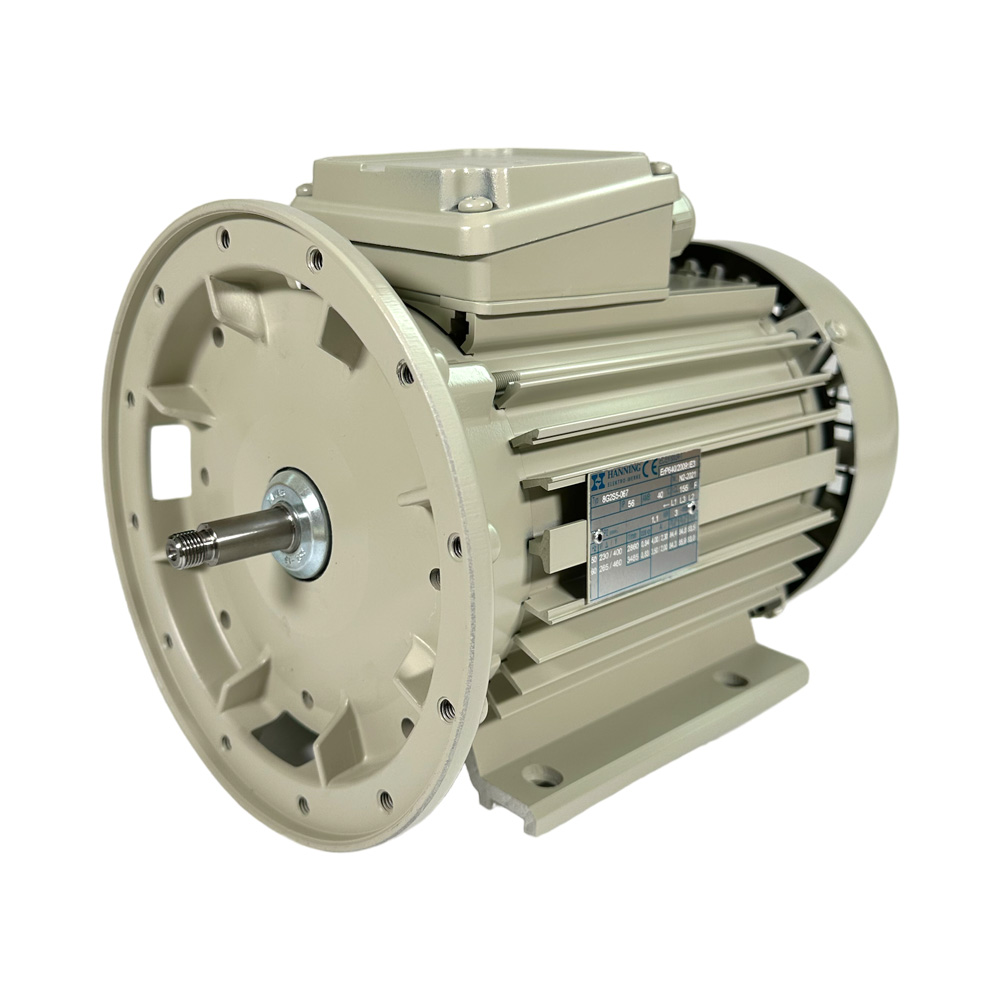 Elektromotor für FP 66, 1,1 kW, 380V