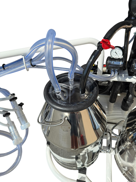 Doppelter Minimilker mit Vakuumtank,  geölter Vakuumpumpe ,kompl. mit 2 x 30 Liter Edelstahl Eimer und 4 x BM Ziege Classic